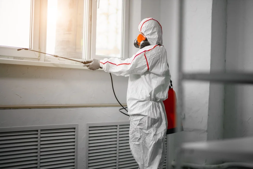 Professional mold remediation services in Brooten, MN